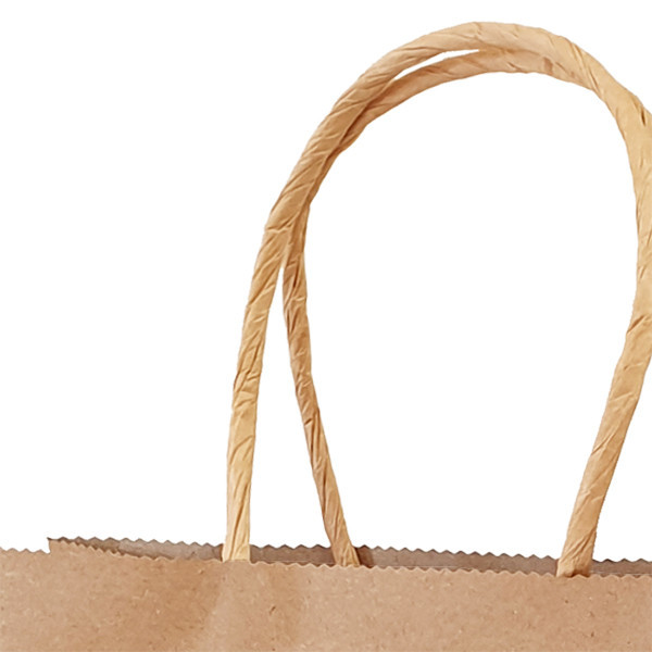 25 Brown Kraft Paper Bags 19x21x8cm Eco Friendly T And Retail